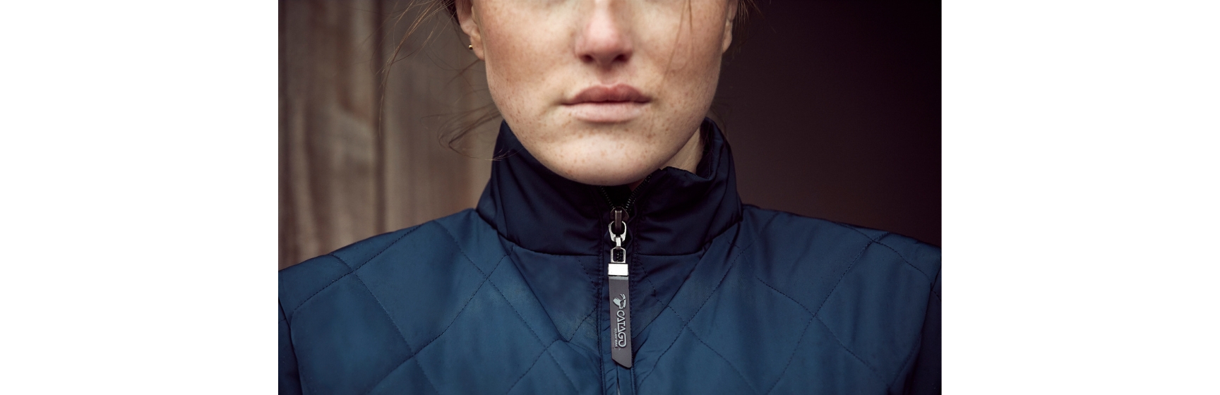 Eldorado Customer Story Delogue PLM